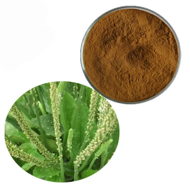 Plantain Extract.png