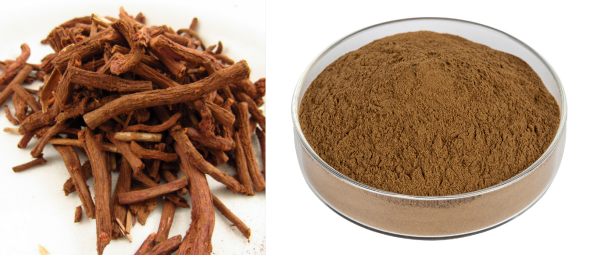 Rubia Cordifolia Extract.png