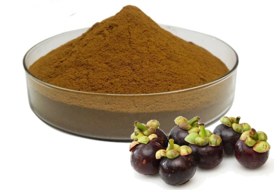 Mangosteen Extract Powder 98%.png