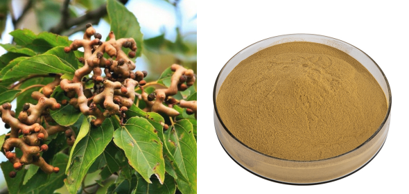 Hovenia Dulcis Extract Powder 2.5%.png