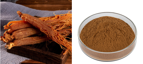 Red Ginseng Extract powder.png