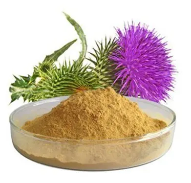 Milk Thistle Extract Powder.png