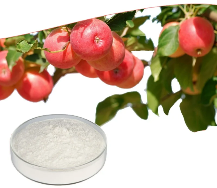 Apple Vinegar Powder Applications.png