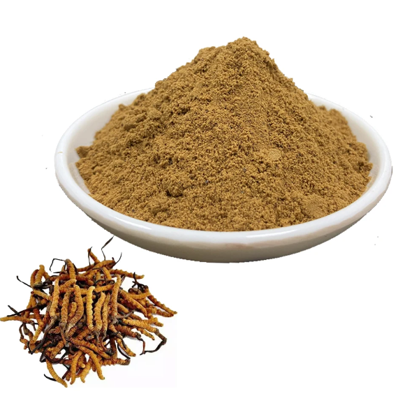 Cordyceps Militaris Powder.png