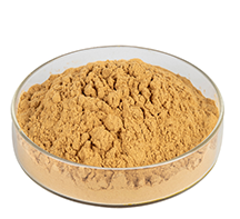 Yucca Extract Powder.png