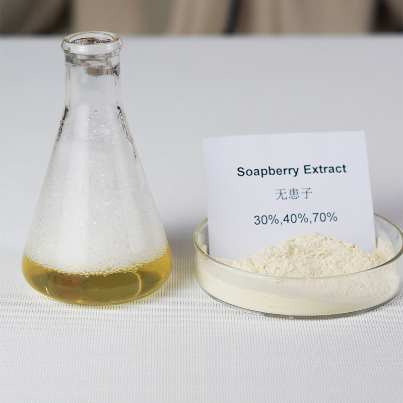 Soapnut Extract Powder.jpg