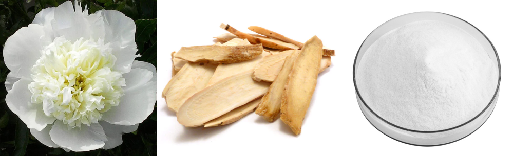 White Peony Root Extract Powder 50%.png