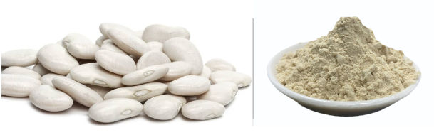 White Kidney Bean Extract Powder 1%.png