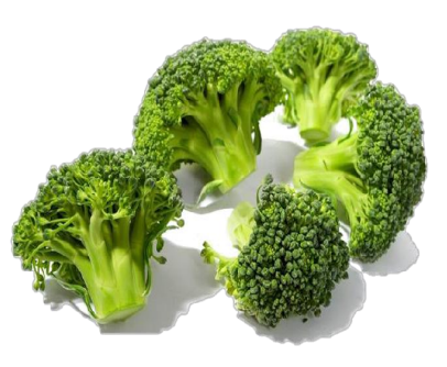 broccoli plant.png