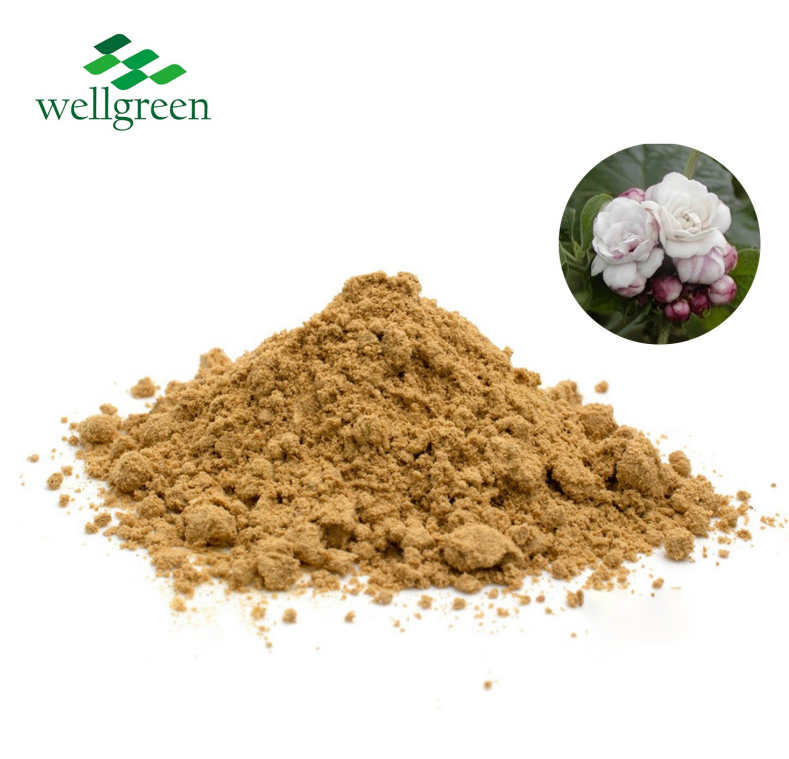 Clerodendrum Fragrans Extract.png