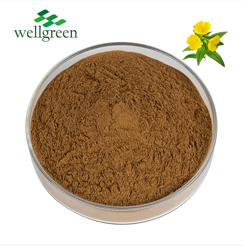 Evening Primrose Root Extract.png