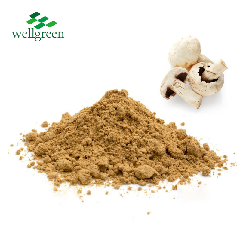 Agaricus Bisporus Extract 30%.png