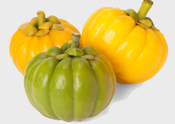 Garcinia cambogia.png