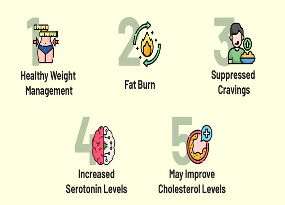 garcinia cambogia many benefits.png