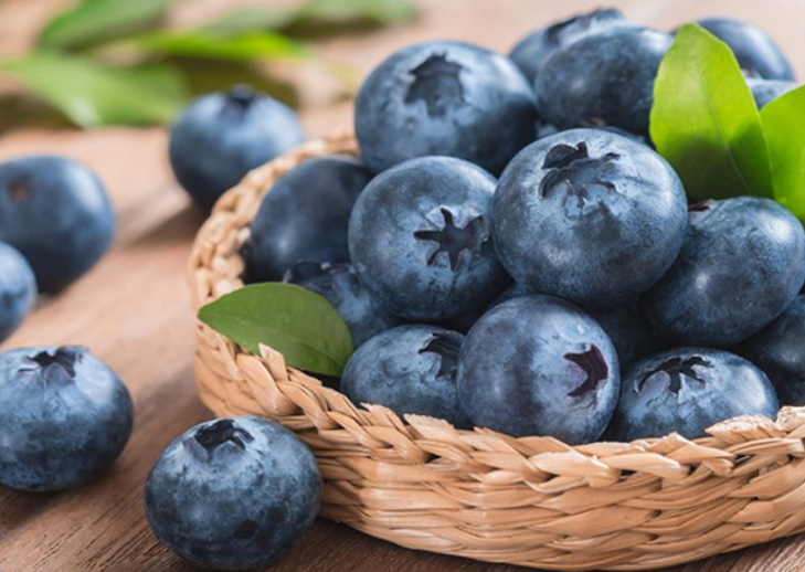 Blueberry Extract Powder Benefits.png