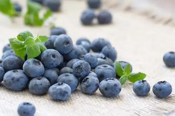 Blueberries.webp