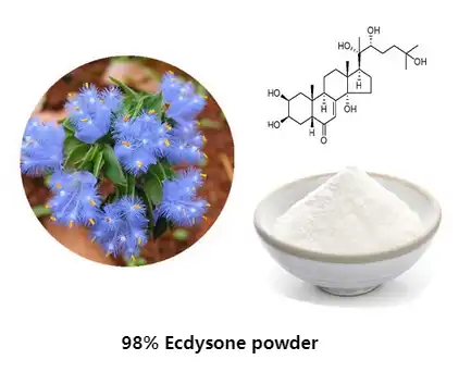 ecdysone powder 98%.png