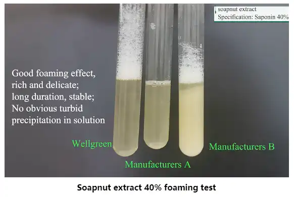 soapnut extract foaming test.png