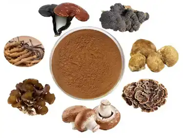 Organic Mushroom Powder.png