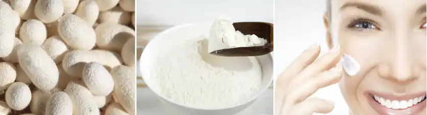 Silk Protein Peptide Powder