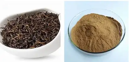 Black Tea Extract.png