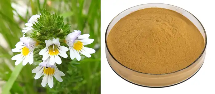 Eyebright Herb Extract