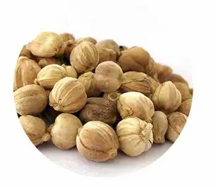 Cardamom Extract.png