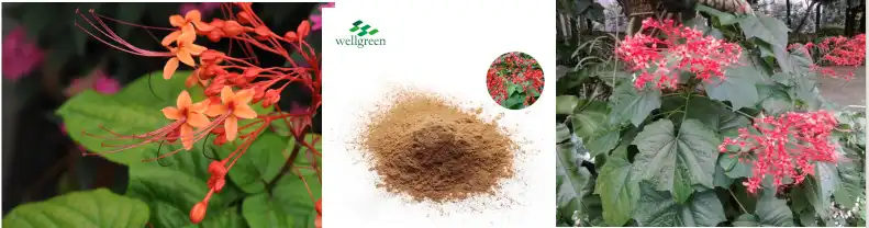 blog-791-208 blog-791-208