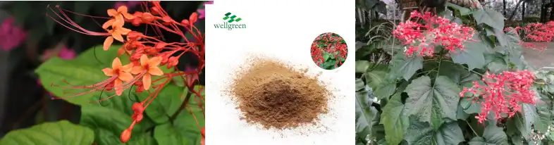 blog-786-206 blog-786-206