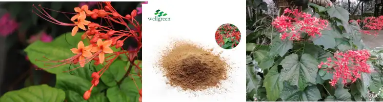 blog-785-209 blog-785-209