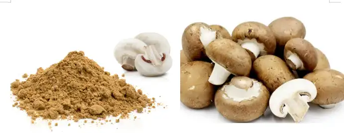 blog-691-268 blog-691-268