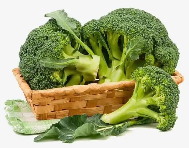 broccoli seed extract