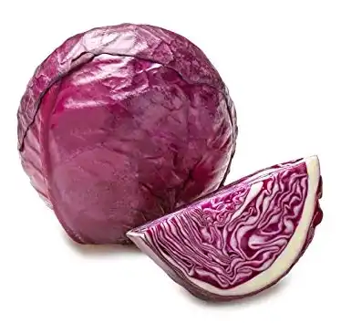 Red Cabbage Color