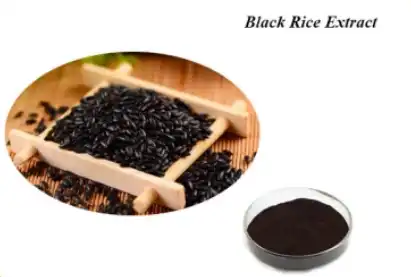 Black Rice Extract powder