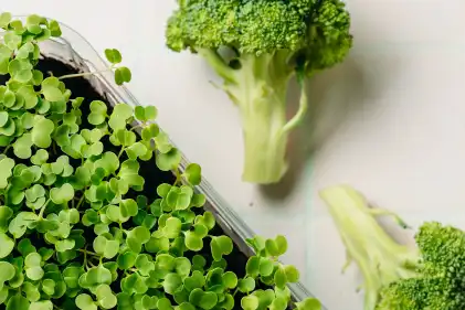 Glucoraphanin Glucoraphanin