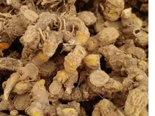 Belamcanda chinensis root