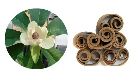 Magnolia Liliiflora Extract