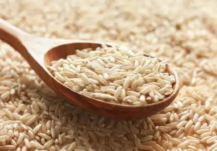 Brown Rice Extract