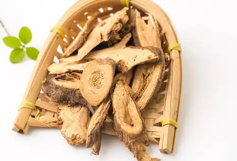 Ramie Root Extract