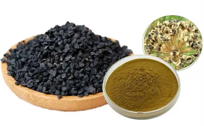 leek extract leek extract