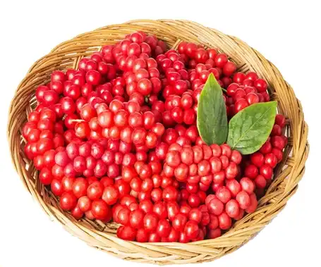Schisandra Chinensis Fruit Dry Extract Schisandra Chinensis Fruit Dry Extract