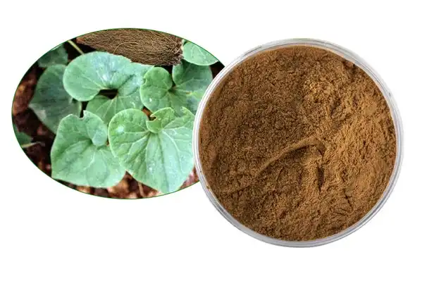 Asarum sieboldii extract