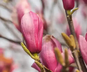 blog-370-306 blog-370-306