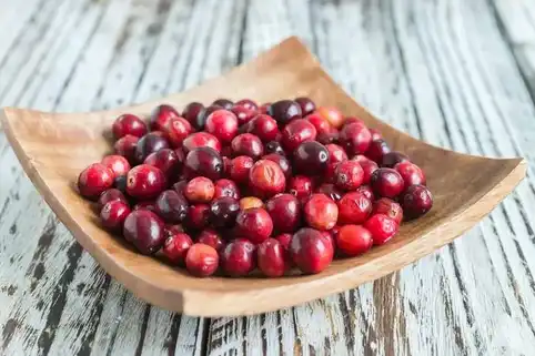 Cranberry Extract