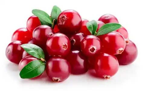 Cranberry Extract Powder