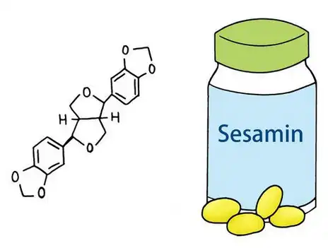 sesamin powder