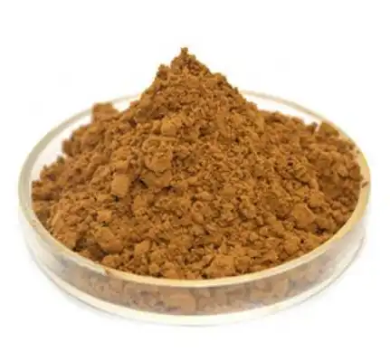 Leek Seed Extract Leek Seed Extract