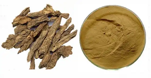 Himalayan Teasel Root Extract