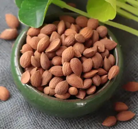 Prunus Japonica seed extract