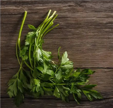 parsley extract